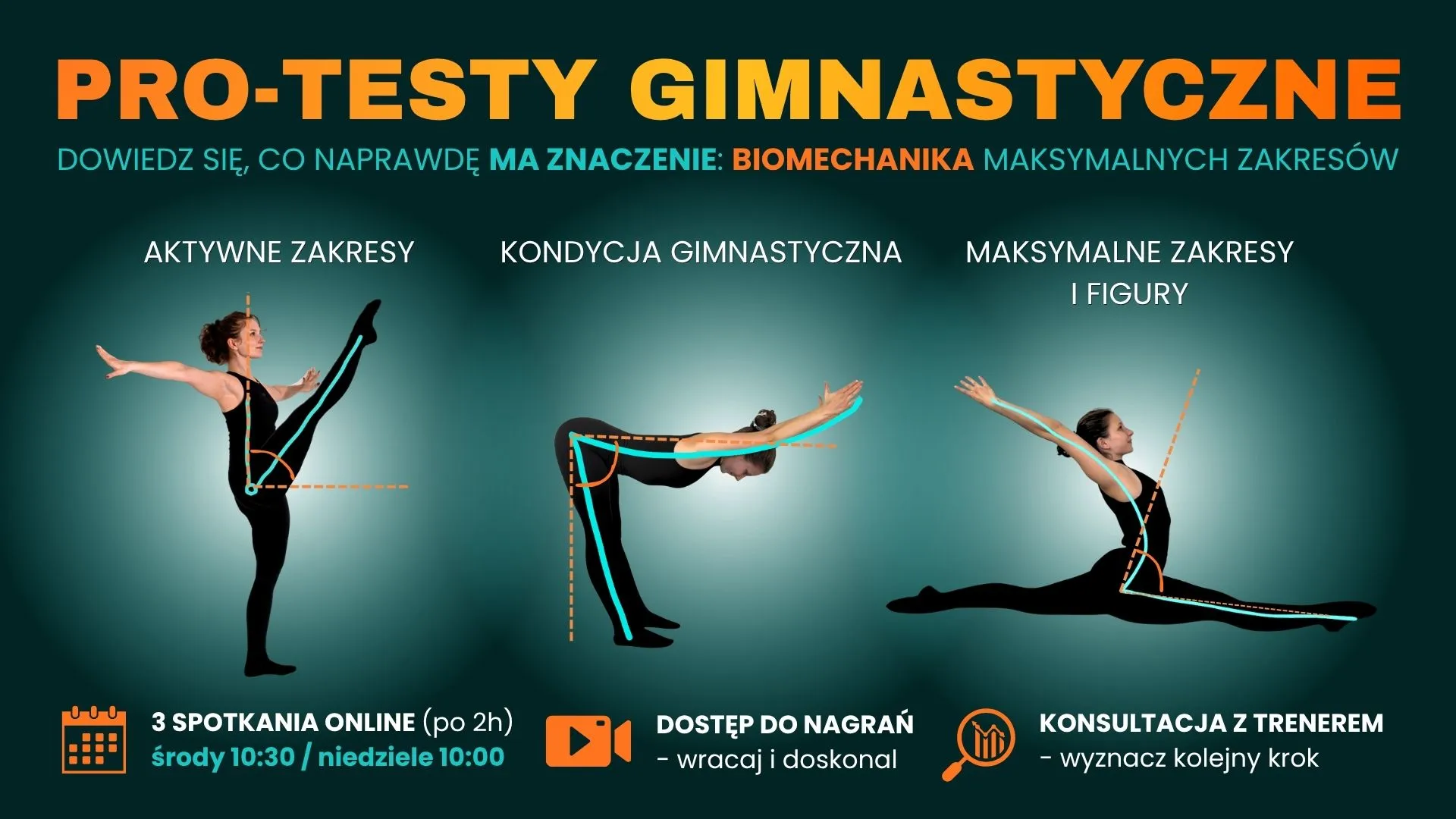 TESTY GIMNASTYCZNE (aktywne zakresy, maksymlane zakresy, kondycja)